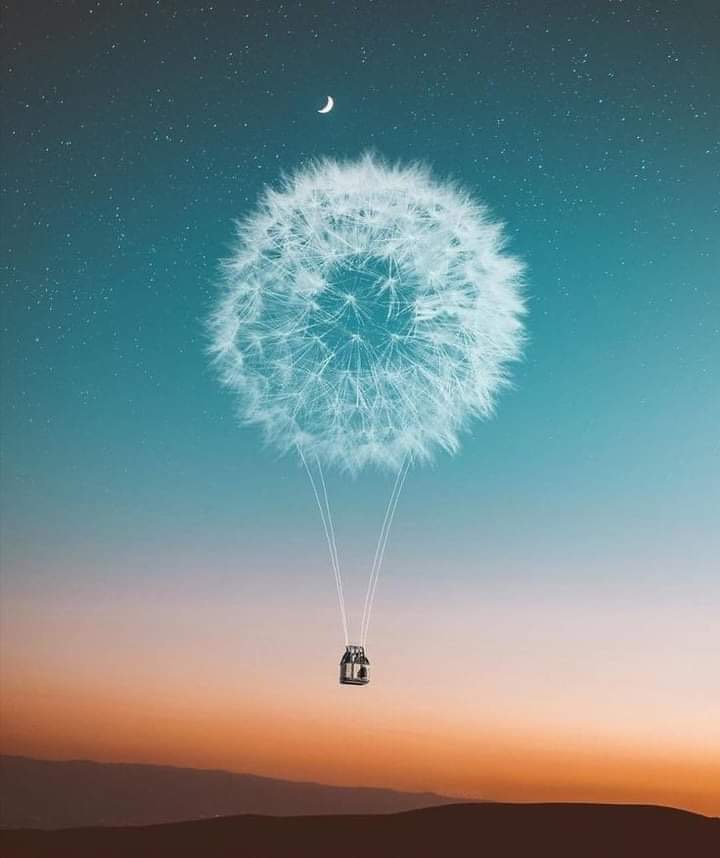 A whimsical scene featuring a hot air balloon resembling a dandelion puff, floating against a gradient sky at dusk with a small crescent moon and scattered stars.